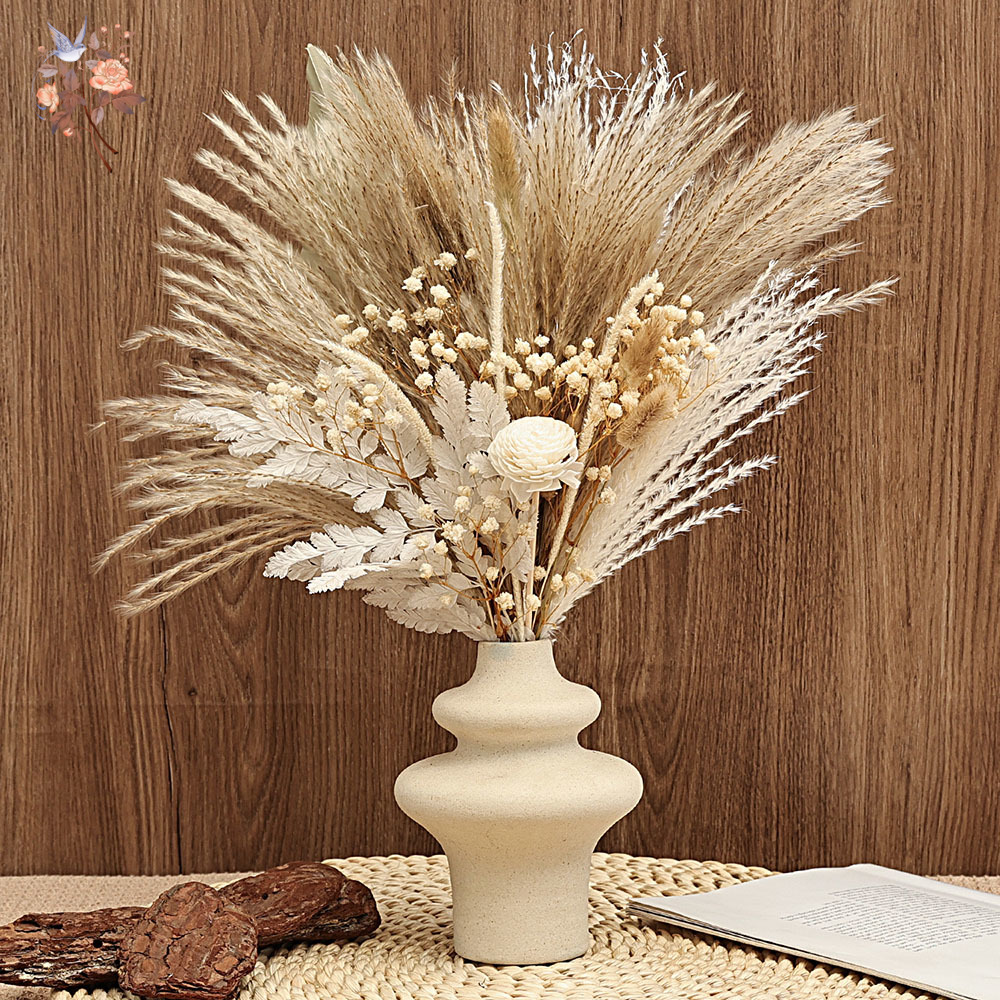 Dried Pampas Bundle - Lot de 40 anches de Pampas