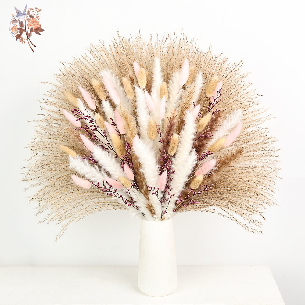 Dried Pampas Bundle - Queues de lapin Pampas moelleuses, herbe