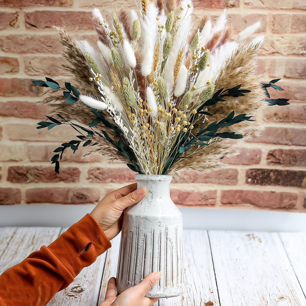 Dried Pampas Bundle - Bouquet d'herbe de Pampa séchée, 100