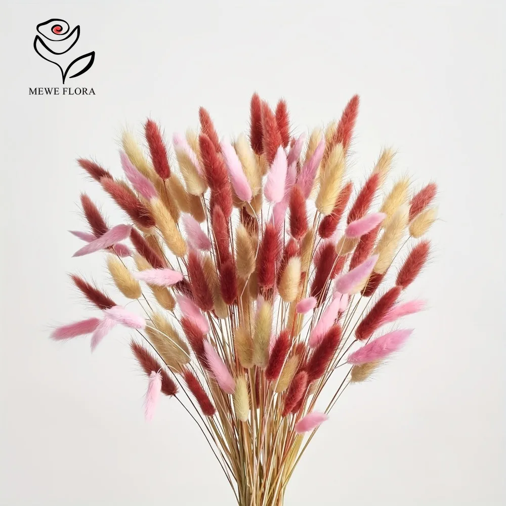 Dried Pampas Bundle - 90 pièces mélangées 3 couleurs queues