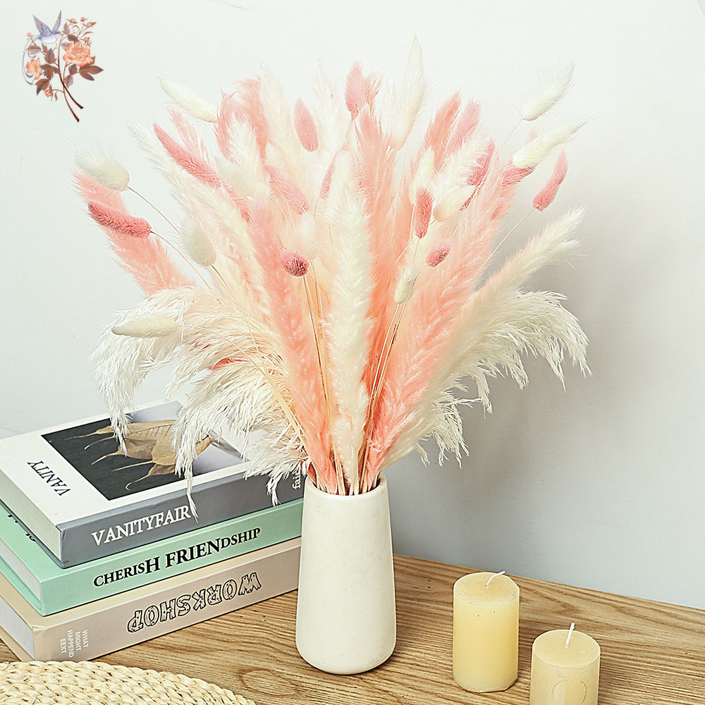 Dried Pampas Bundle - Bouquet d'herbe queue de lapin rose,