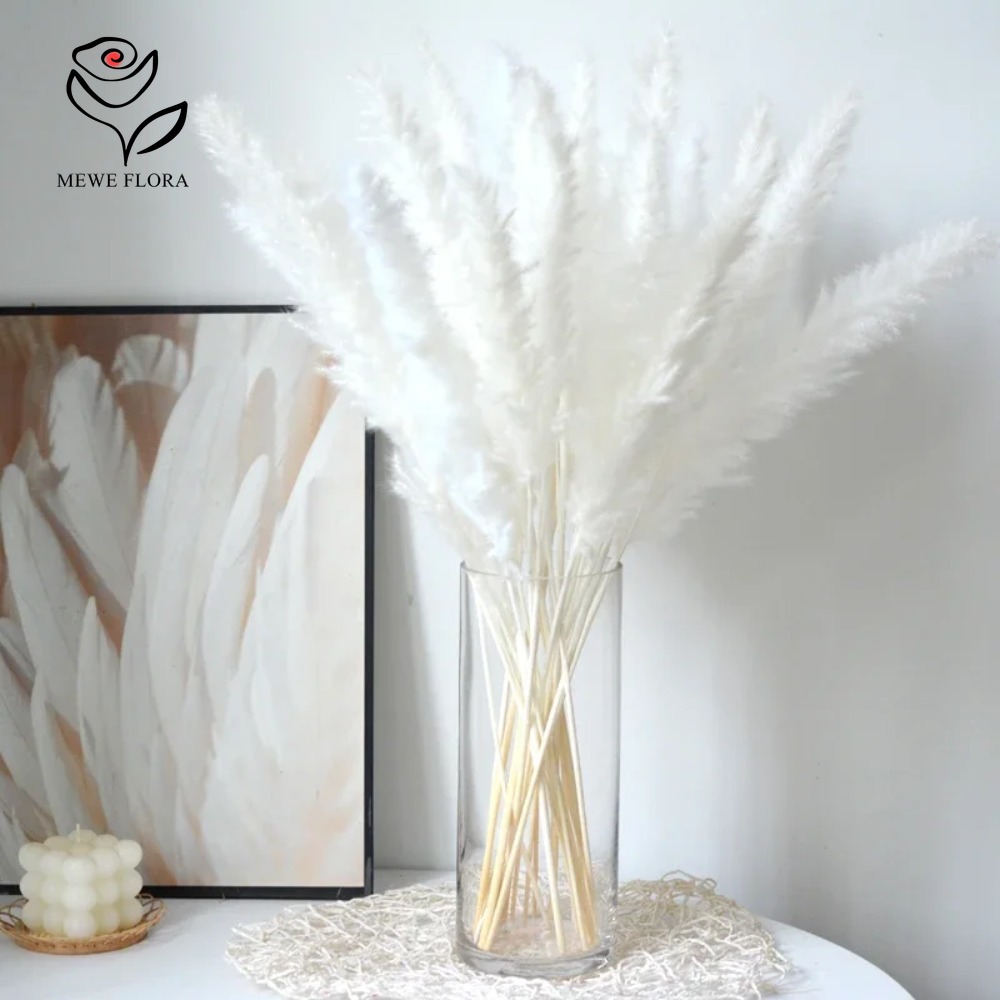 Dried Pampas Bundle - Lot de 20 herbes de la