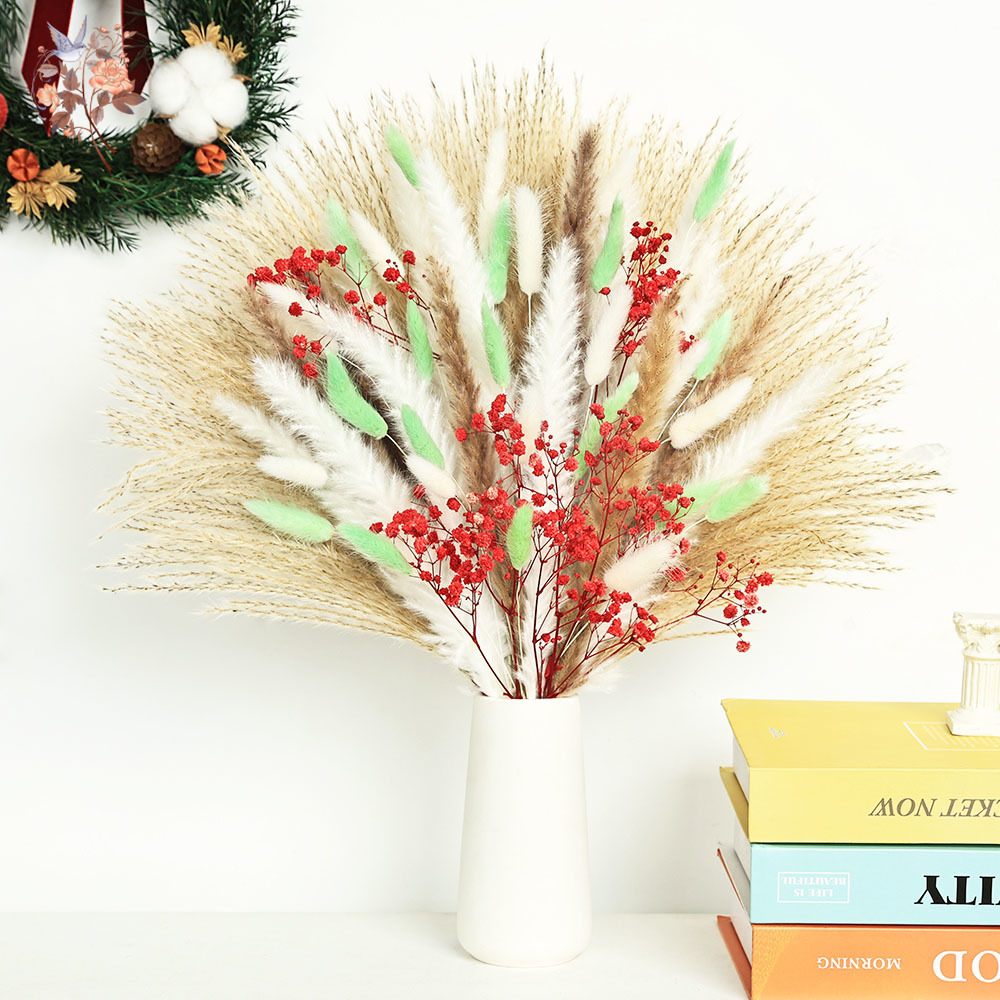 Dried Pampas Bundle - Mèches d'herbe de Pampas moelleuse, 70