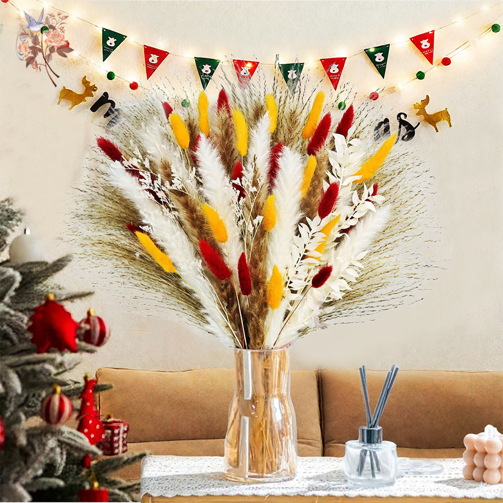 Dried Pampas Bundle - 70 tiges d'herbe de Pampa moelleuse