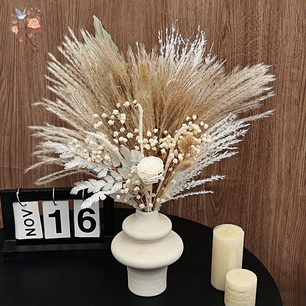Lot de 40 anches de Pampas séc - Dried Pampas Bundle avis et prix
