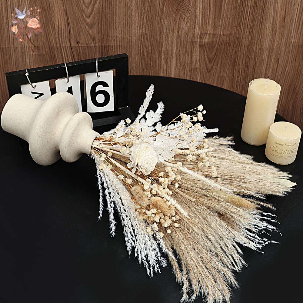 Lot de 40 anches de Pampas séc - Dried Pampas Bundle avis et prix