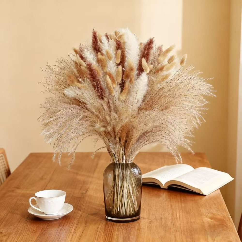 Bouquet de fleurs séchées natu - Dried Pampas Bundle avis et prix