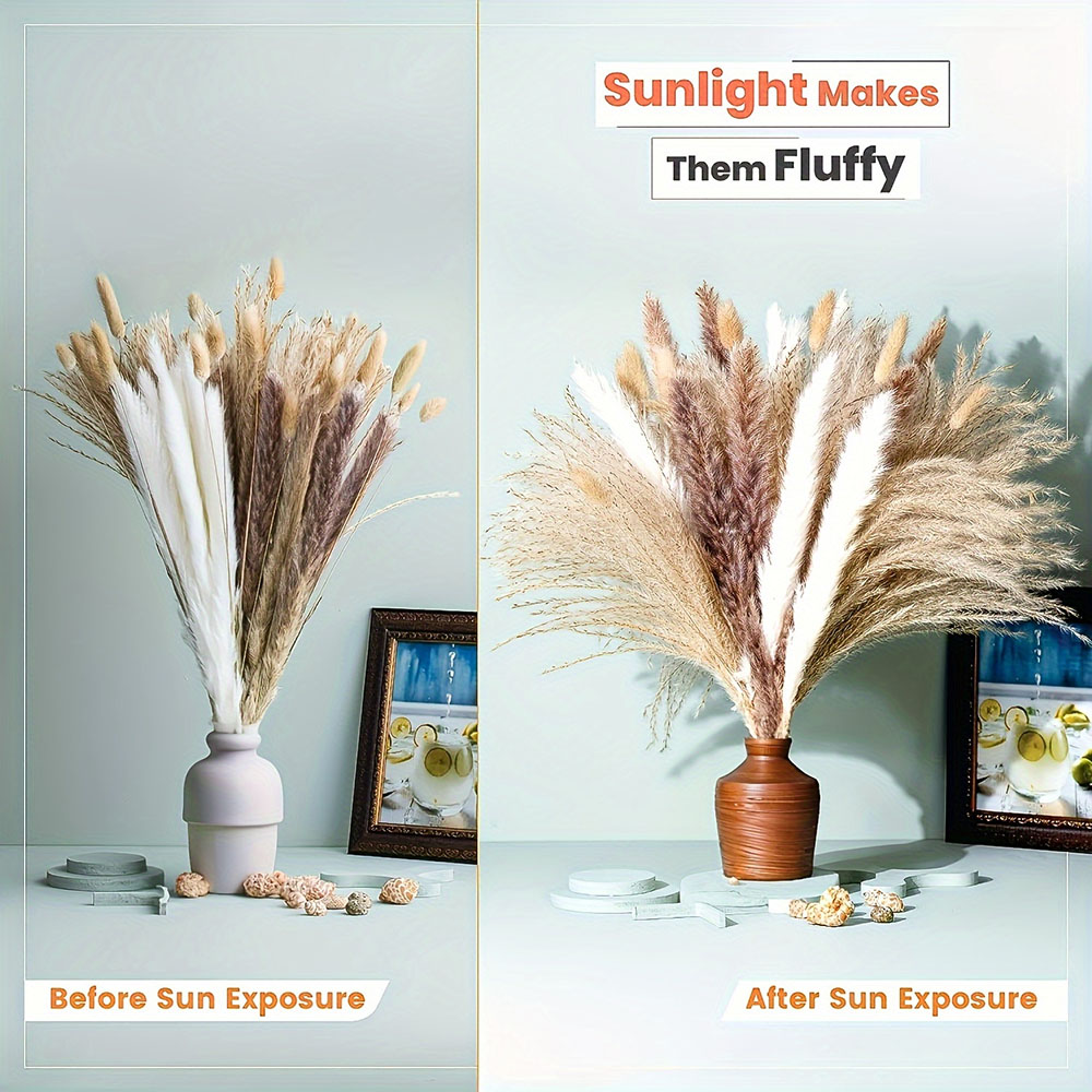 Bouquet de fleurs séchées natu - Dried Pampas Bundle avis et prix