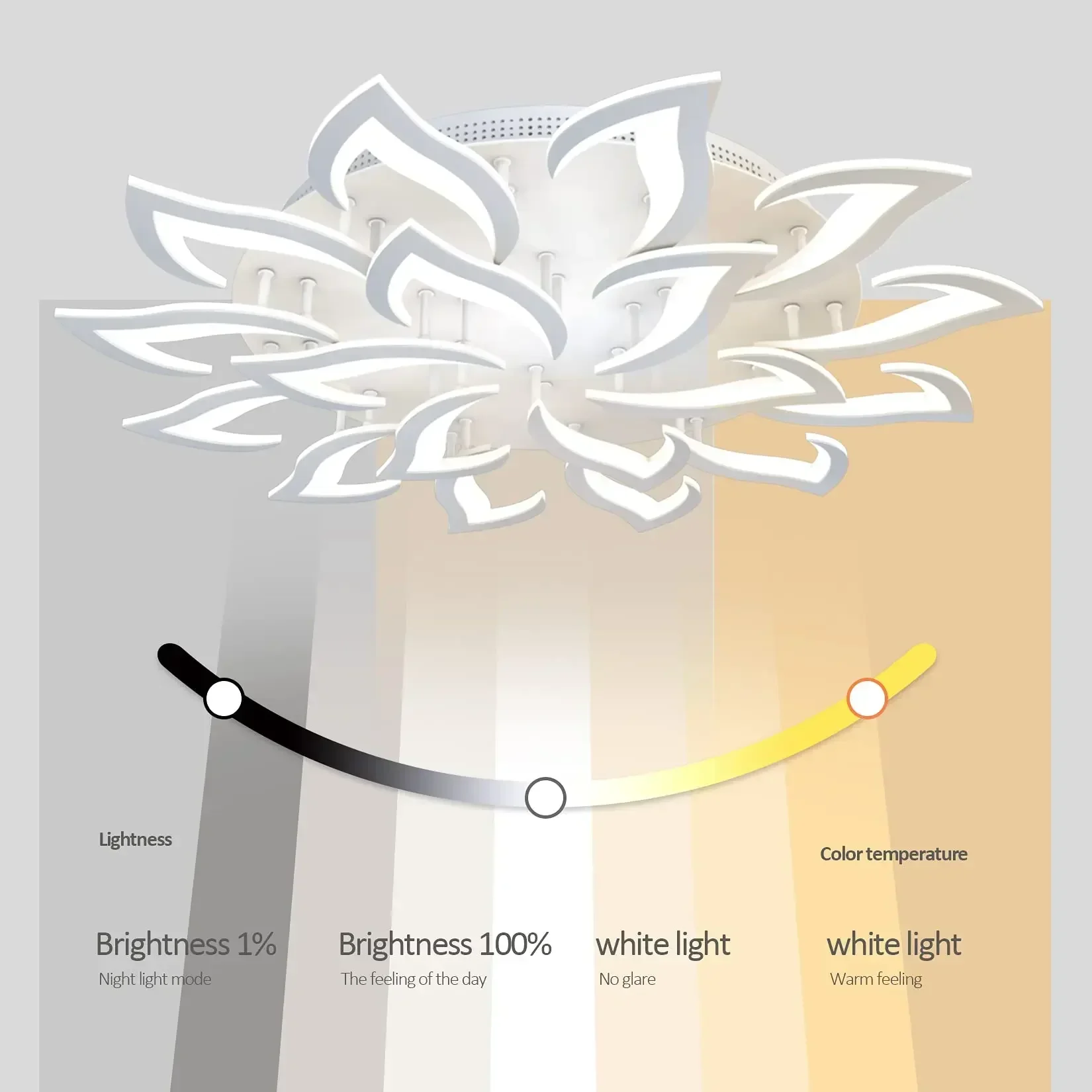 Plafonnier LED en Forme de Pét - Interior Design Years avis et prix