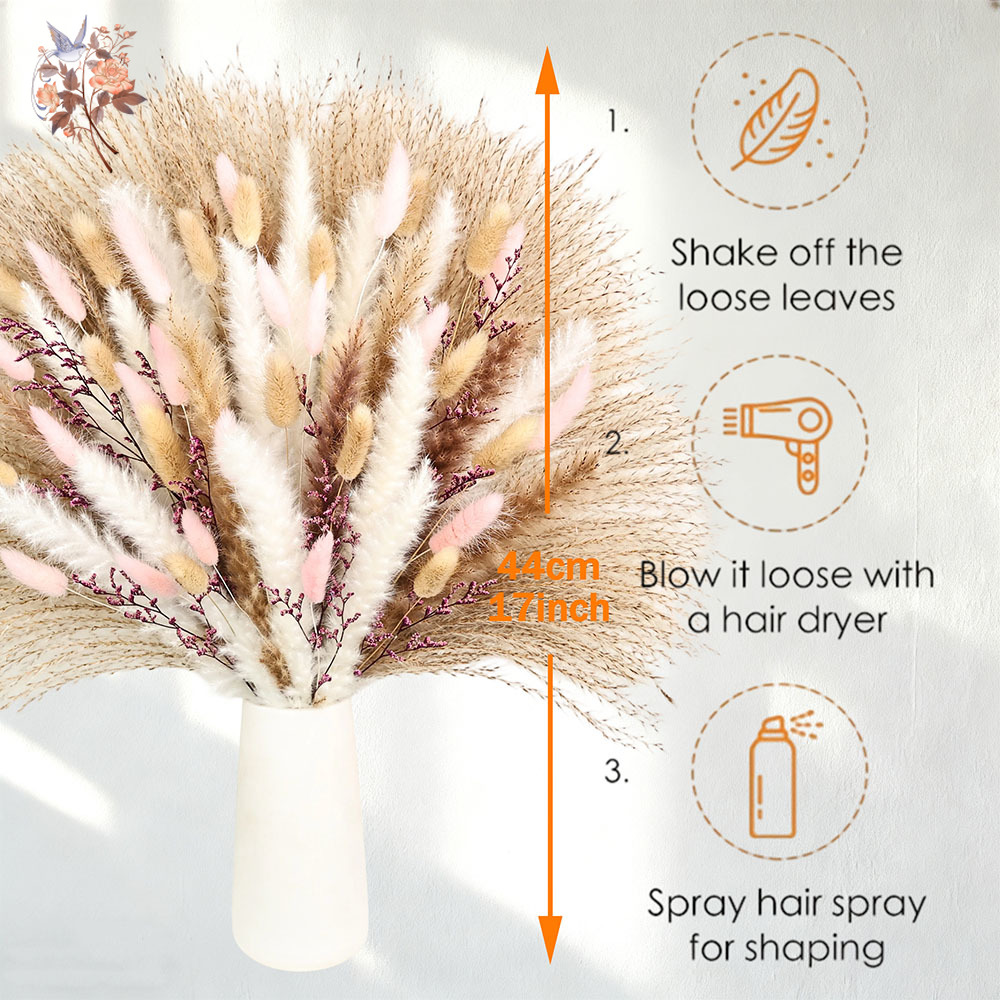 Queues de lapin Pampas moelleu - Dried Pampas Bundle avis et prix