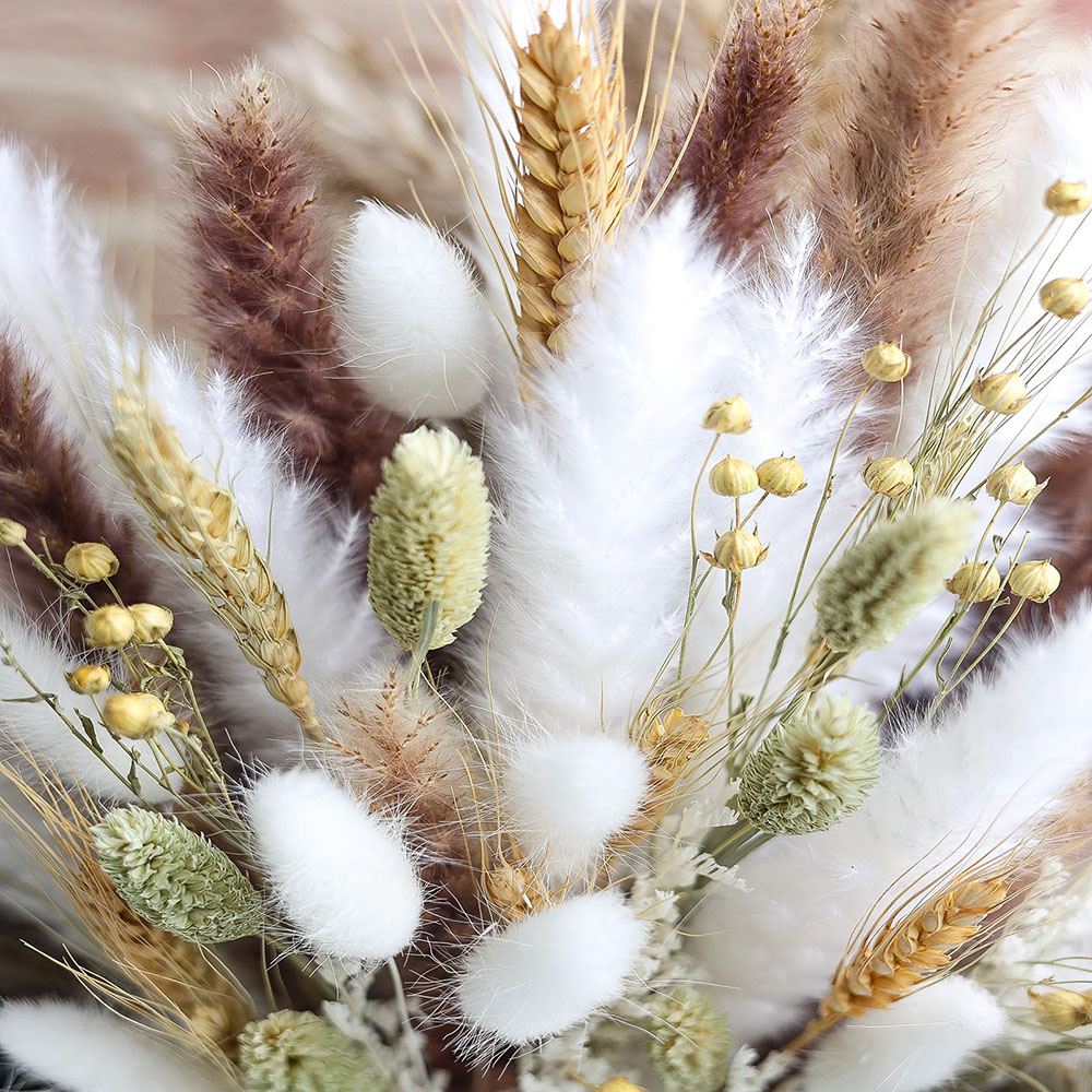 Bouquet d'herbe de Pampa séché - Dried Pampas Bundle avis et prix