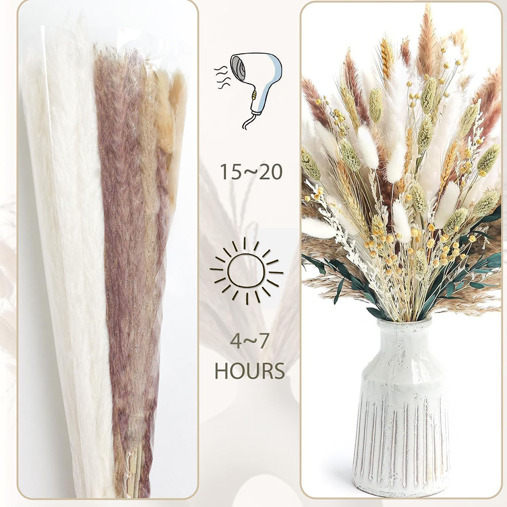 Bouquet d'herbe de Pampa séché - Dried Pampas Bundle avis et prix