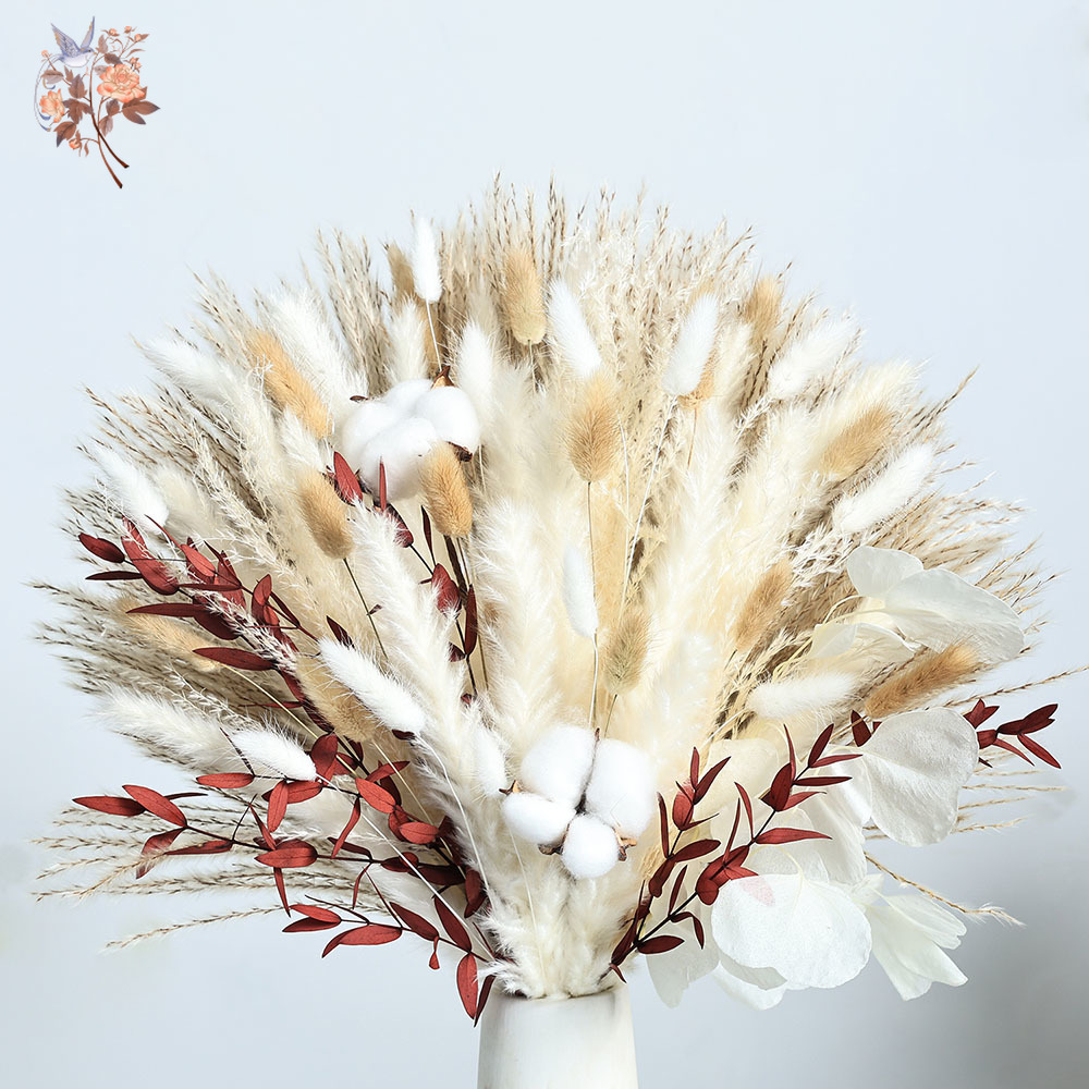 Bouquet de fleurs de Pampa séc - Dried Pampas Bundle avis et prix