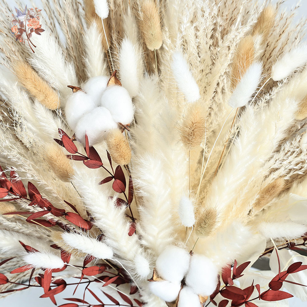 Bouquet de fleurs de Pampa séc - Dried Pampas Bundle avis et prix