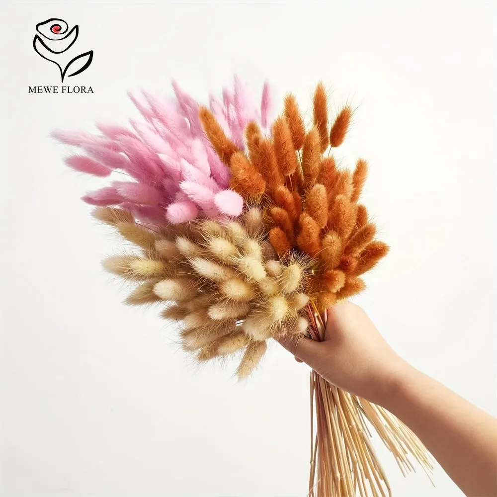 90 pièces mélangées 3 couleurs - Dried Pampas Bundle avis et prix