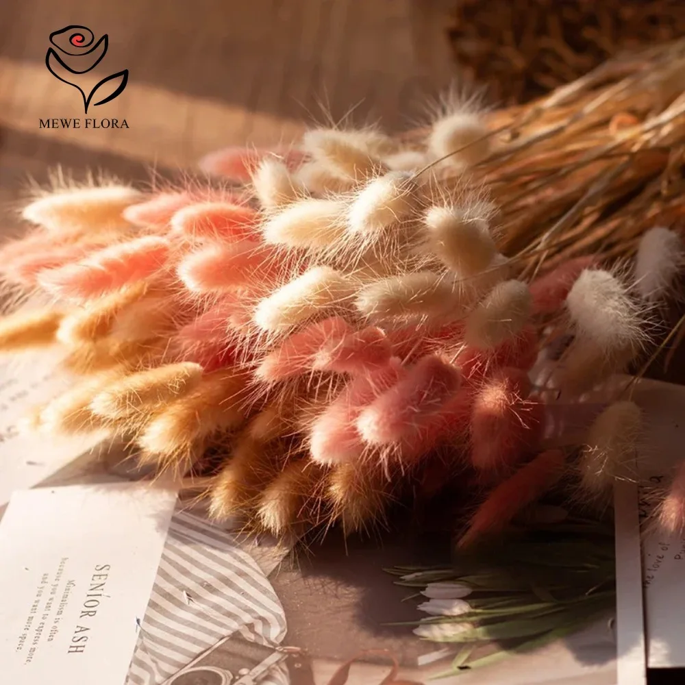 90 pièces mélangées 3 couleurs - Dried Pampas Bundle avis et prix