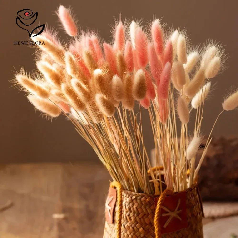 90 pièces mélangées 3 couleurs - Dried Pampas Bundle avis et prix