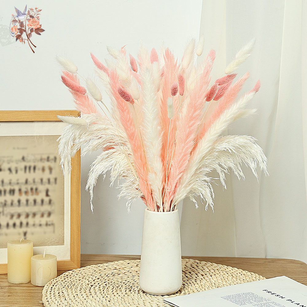 Bouquet d'herbe queue de lapin - Dried Pampas Bundle avis et prix