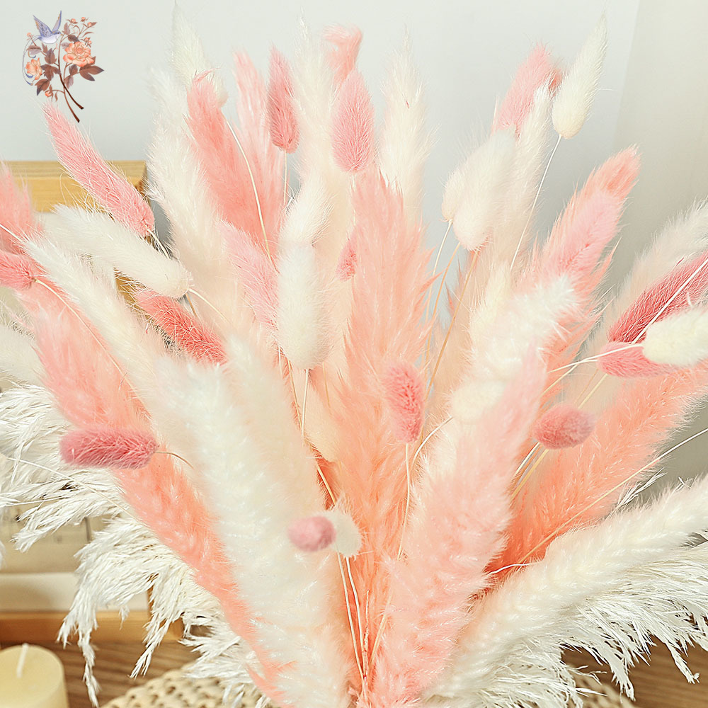 Bouquet d'herbe queue de lapin - Dried Pampas Bundle avis et prix
