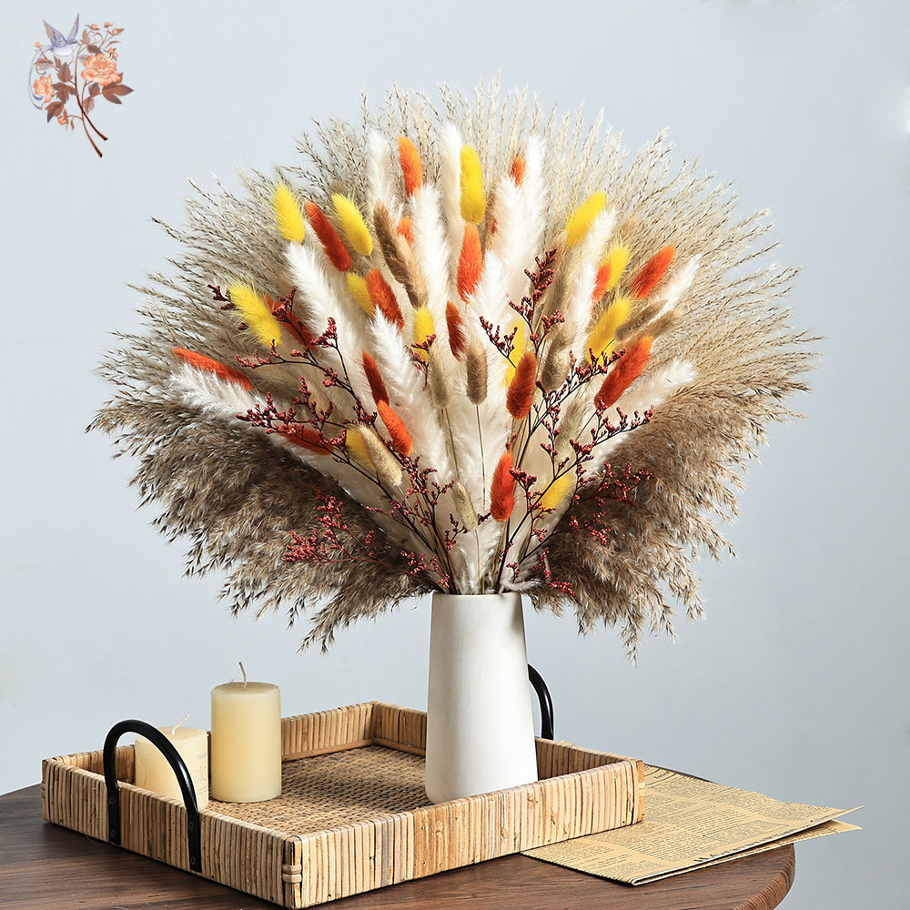 Ensemble d'herbe de Pampa d'au - Dried Pampas Bundle avis et prix