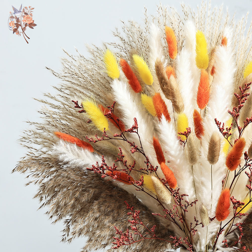 Ensemble d'herbe de Pampa d'au - Dried Pampas Bundle avis et prix