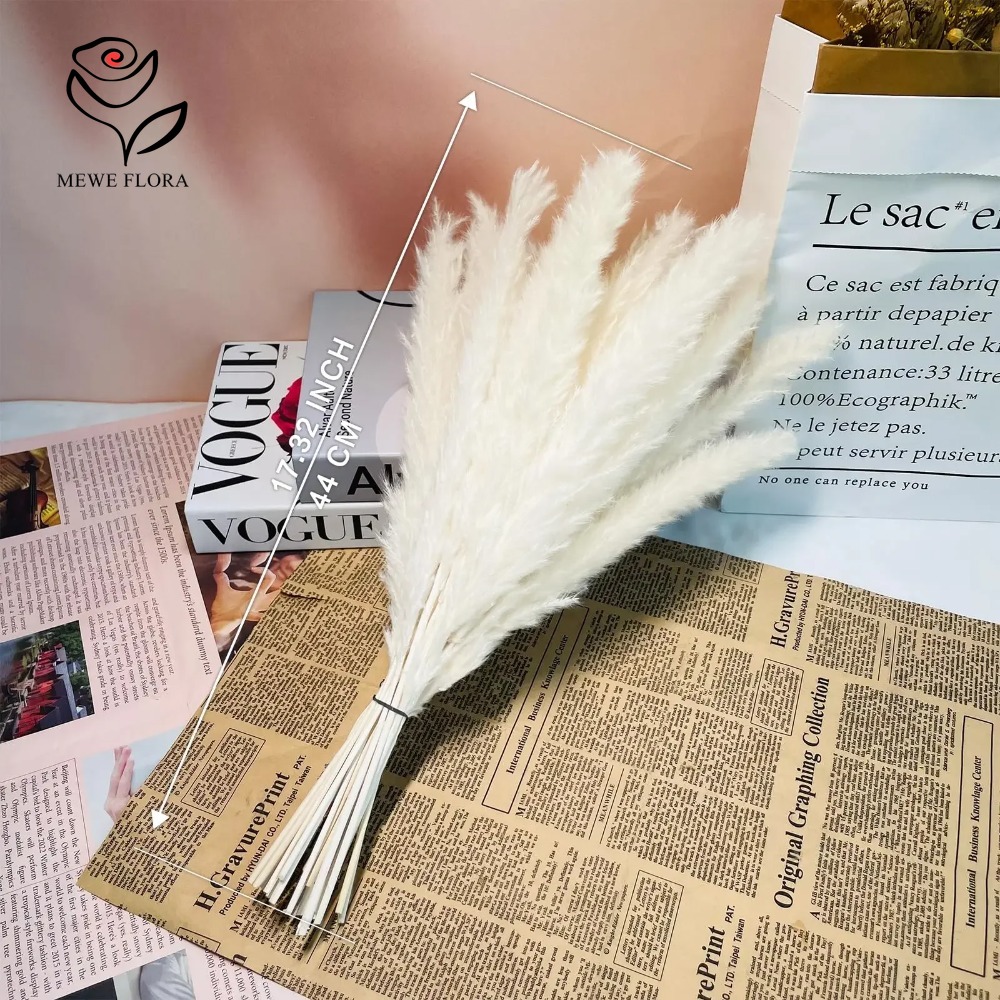 Lot de 20 herbes de la pampa d - Dried Pampas Bundle avis et prix