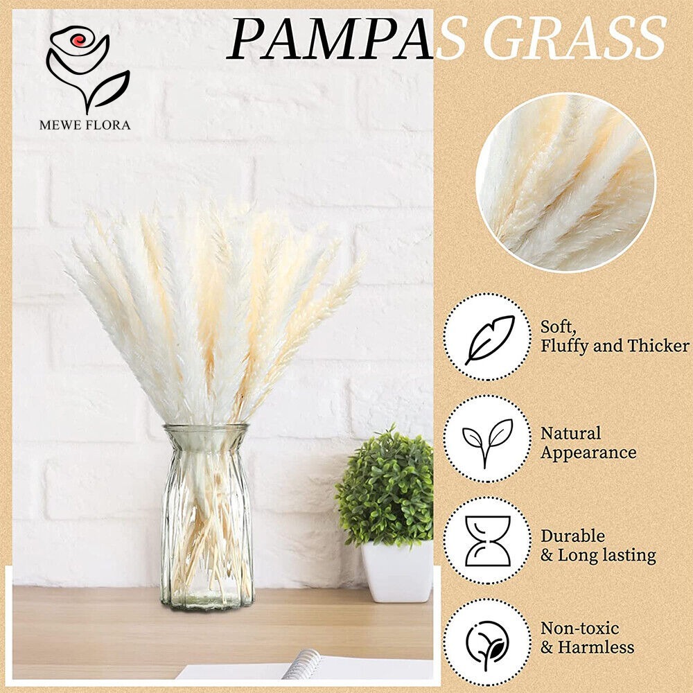 Lot de 20 herbes de la pampa d - Dried Pampas Bundle avis et prix