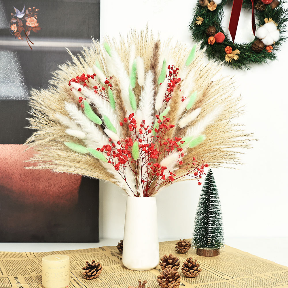 Mèches d'herbe de Pampas moell - Dried Pampas Bundle avis et prix