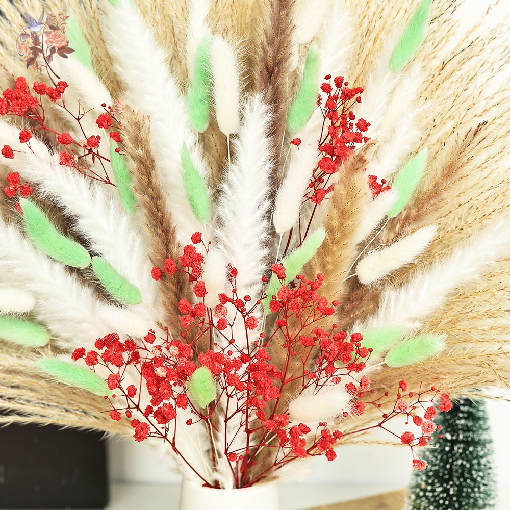 Mèches d'herbe de Pampas moell - Dried Pampas Bundle avis et prix