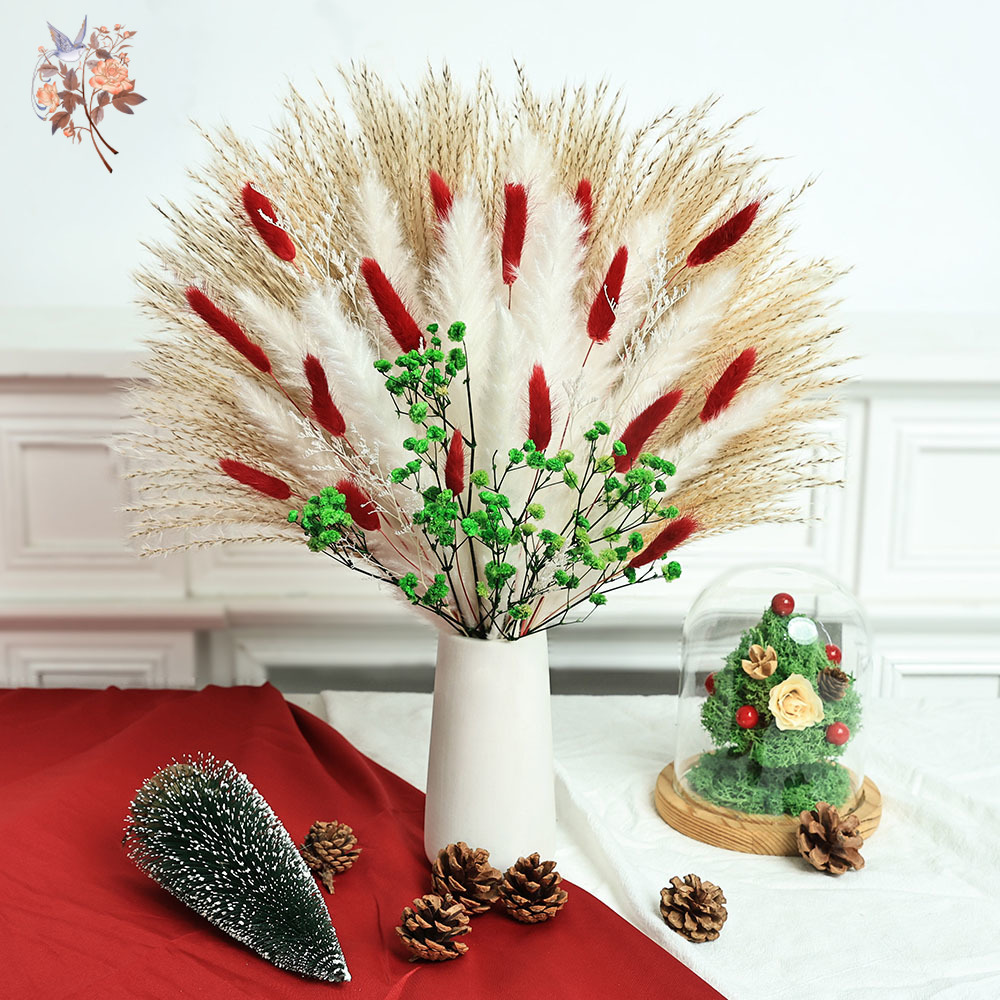 Bouquet de fleurs séchées, 55  - Dried Pampas Bundle avis et prix