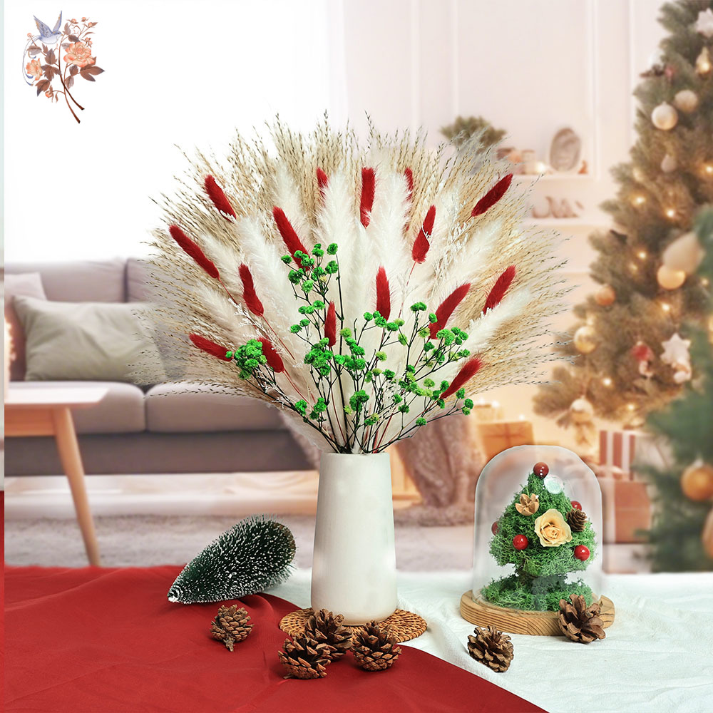 Bouquet de fleurs séchées, 55  - Dried Pampas Bundle avis et prix