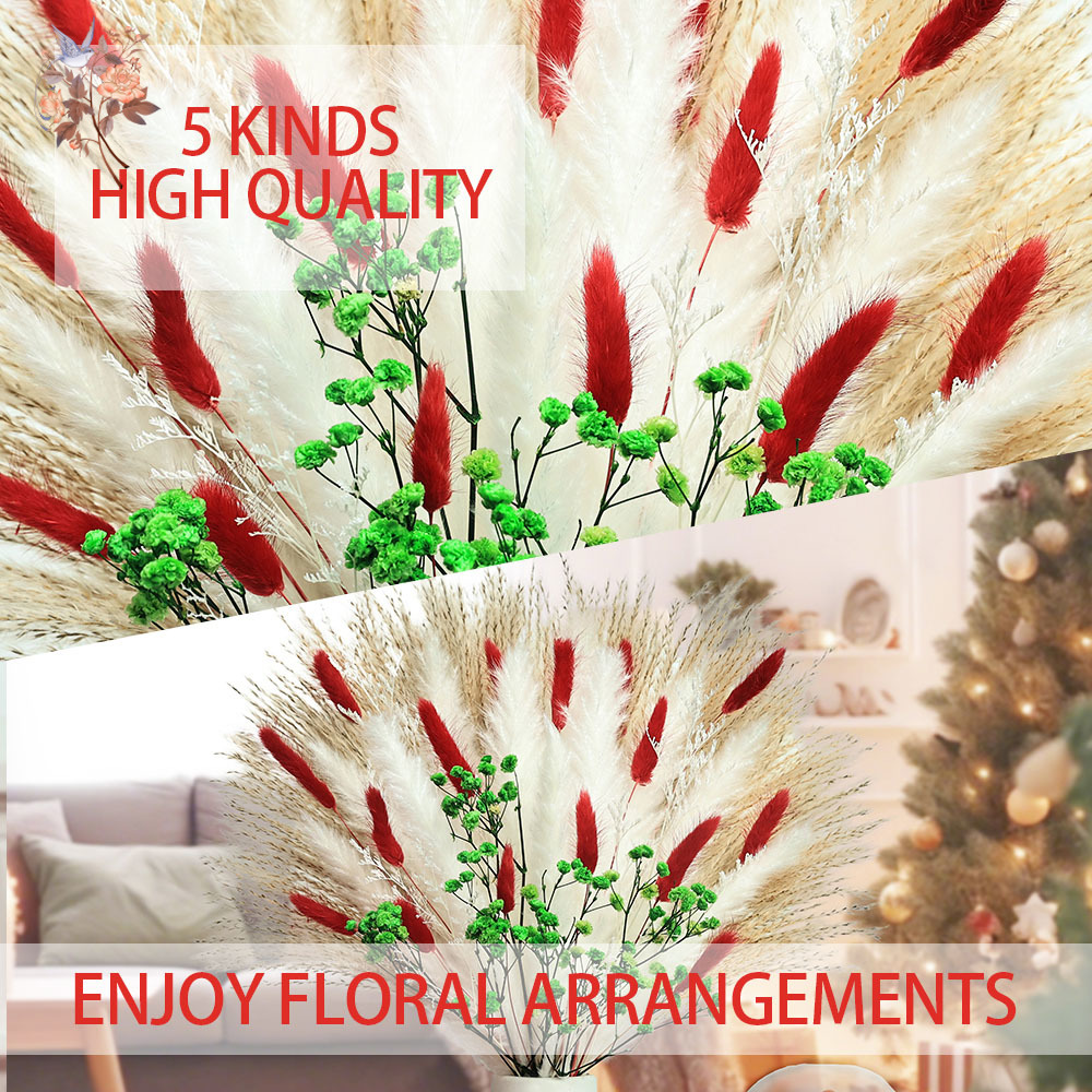 Bouquet de fleurs séchées, 55  - Dried Pampas Bundle avis et prix