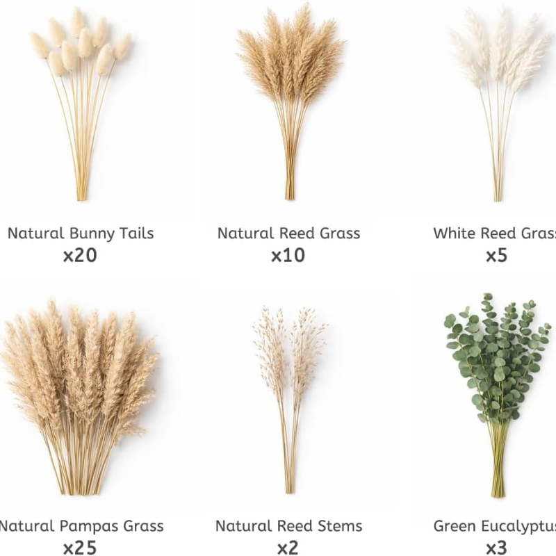 Lot de 65 fleurs séchées natur - Dried Pampas Bundle avis et prix