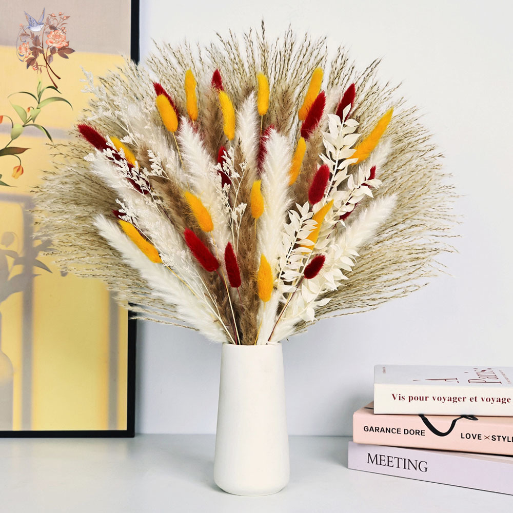 70 tiges d'herbe de Pampa moel - Dried Pampas Bundle avis et prix