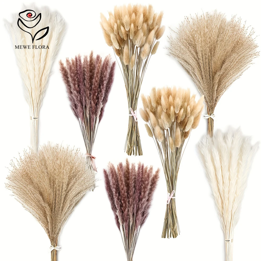 Queues de lapin Pampas séchées - Dried Pampas Bundle avis et prix