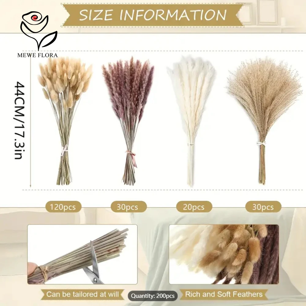 Queues de lapin Pampas séchées - Dried Pampas Bundle avis et prix