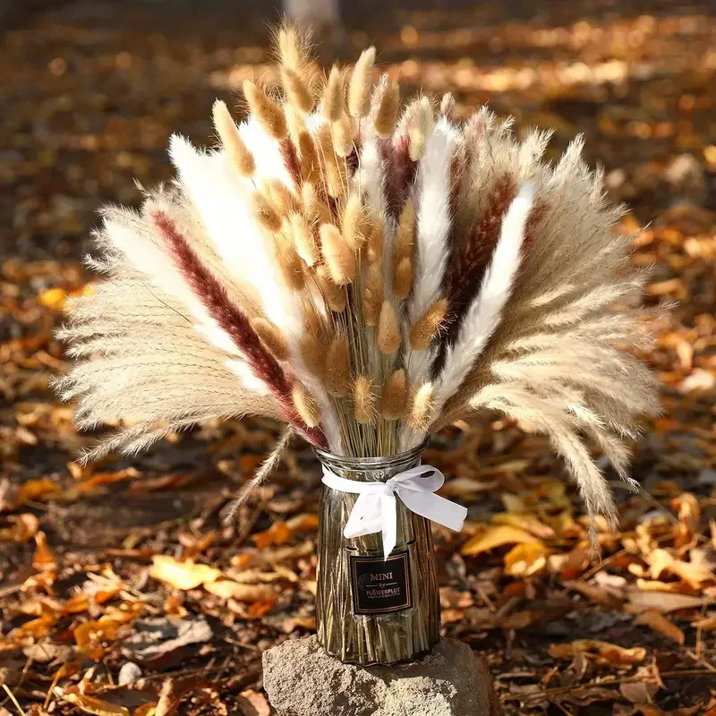 Queues de lapin Pampas séchées - Dried Pampas Bundle avis et prix